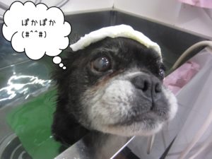 お風呂ミックス