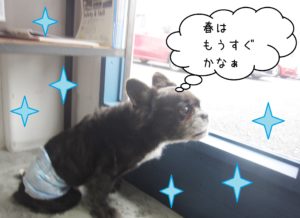 仕上がりミックス