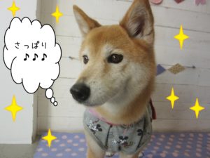 仕上がりミックス