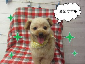 TPのバニラちゃん施術後