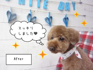 TPのゆずちゃん施術後