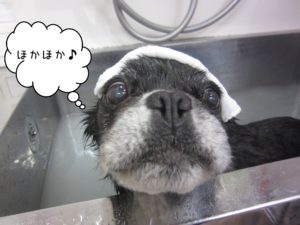 お風呂ミックス