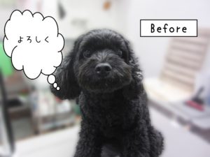 よろしくミックス