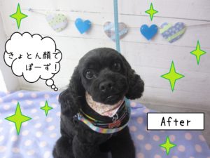 仕上がりミックス