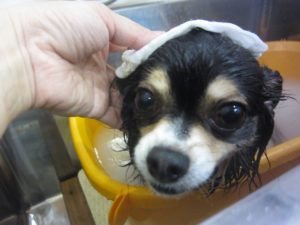 お風呂ミックス