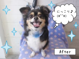 仕上がりミックス