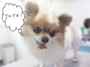 よろしくミックス