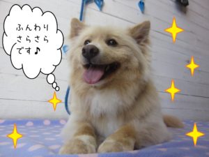 仕上がりミックス