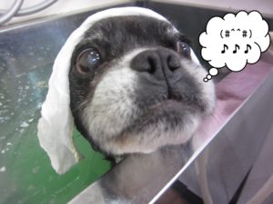 お風呂ミックス