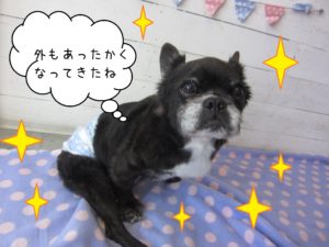 仕上がりミックス