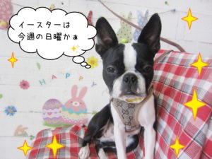 仕上がりボストン