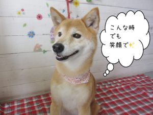 仕上がりミックス