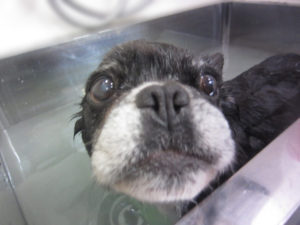 お風呂ミックス