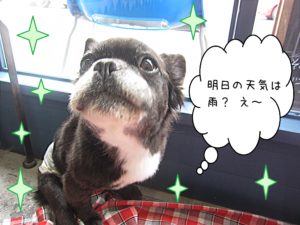 仕上がりミックス