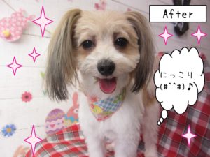 仕上がりミックス