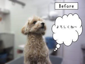 よろしくミックス