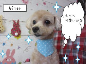 仕上がりミックス