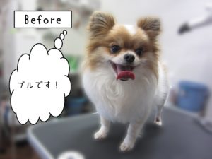 よろしくミックス