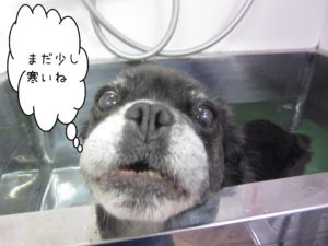 お風呂ミックス