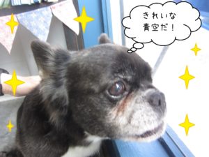 仕上がりミックス