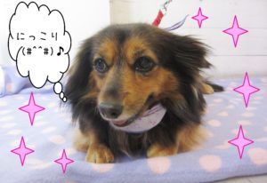 仕上がりミックス