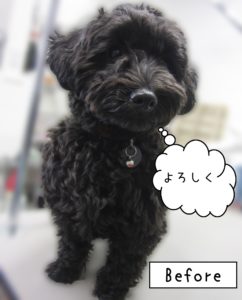 よろしくミックス