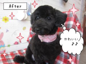 仕上がりミックス