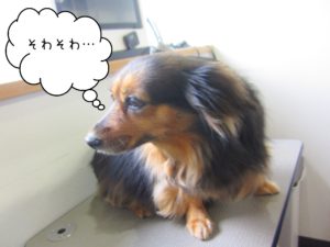 よろしくミックス