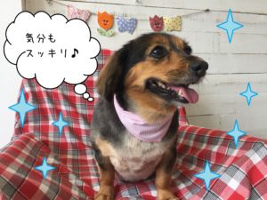 仕上がりミックス