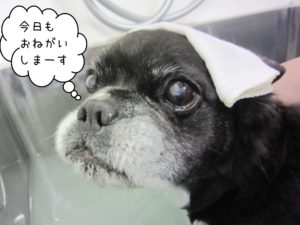 お風呂ミックス