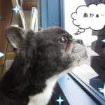 仕上がりミックス