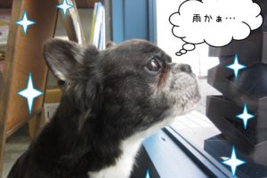 仕上がりミックス