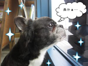 仕上がりミックス