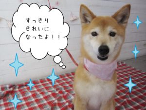 仕上がりミックス