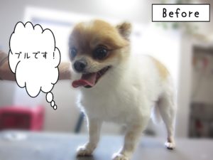 よろしくミックス