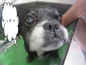 お風呂ミックス