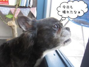 仕上がりミックス