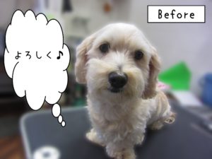 よろしくミックス