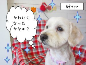 仕上がりミックス