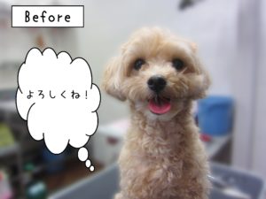 よろしくミックス