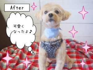 仕上がりミックス