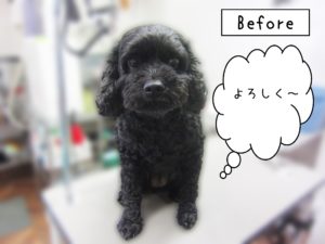 よろしくミックス