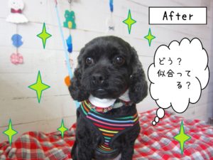 仕上がりミックス