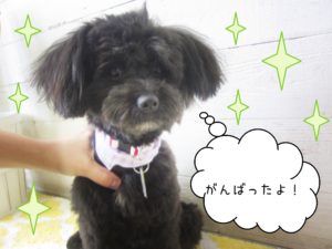 仕上がりミックス