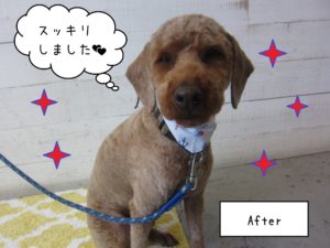 TPの大悟ちゃん施術後