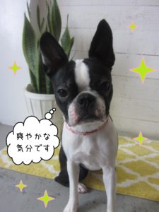 BTのバブちゃん施術後