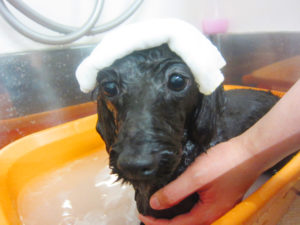 お風呂ミックス