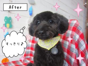 仕上がりミックス