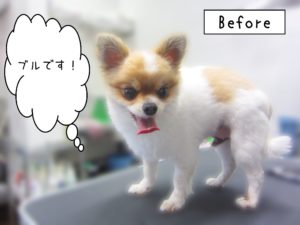 よろしくミックス