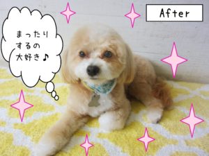 仕上がりミックス